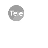 Televid